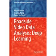 Roadside Video Data Analysis