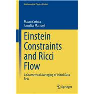 Einstein Constraints and Ricci Flow