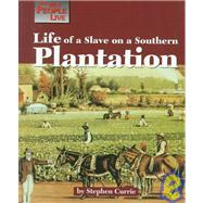 Life of a Slave on a Southern Plantation