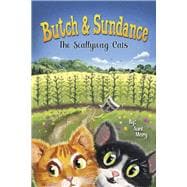 Butch & Sundance The Scallywag Cats