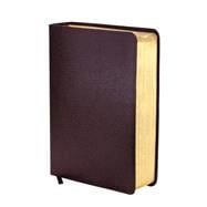 Niv Study Bible