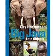 Big Java Late Objects