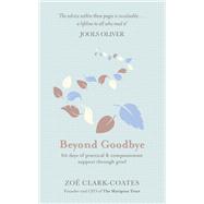 Beyond Goodbye A practical and compassionate guide to surviving grief, with day-by-day resources to navigate a path through loss
