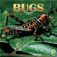 Bugs 2003 Calendar
