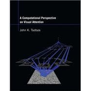 A Computational Perspective on Visual Attention