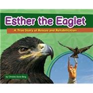 Esther the Eaglet A True Story of Rescue and Rehabilitation