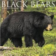 Black Bears 2020 Calendar