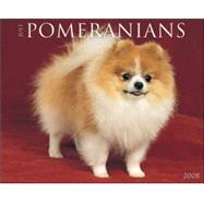 Just Pomeranians 2008 Calendar