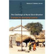 The Challenge of Rural Electrification