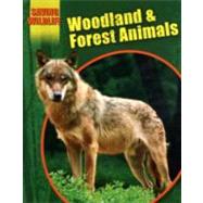 Woodland & Forest Animals