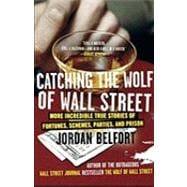 Catching the Wolf of Wall Street More Incredible True Stories of Fortunes, Schemes, Parties, and Prison