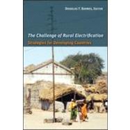 The Challenge of Rural Electrification