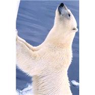 Polar Bear Wants Fed Journal