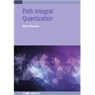 Path Integral Quantization