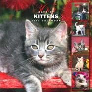 365 Days of Kittens 2007 Calendar
