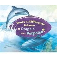 What's the Difference Between a Dolphin and a Porpoise?