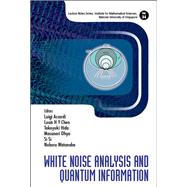 White Noise Analysis and Quantum Information