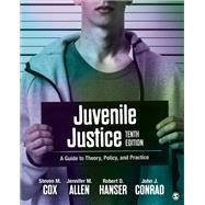 Juvenile Justice: A Guide to Theory, Policy, and Practice