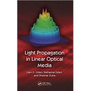 Light Propagation in Linear Optical Media