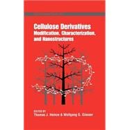 Cellulose Derivatives Modification, Characterization, and Nanostructures