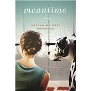 Meantime A Novel