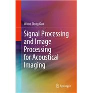 Signal Processing and Image Processing for Acoustical Imaging