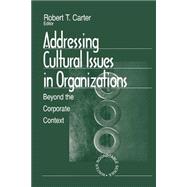 Addressing Cultural Issues in Organizations Vol. 1 : Beyond the Corporate Context