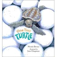 One Tiny Turtle