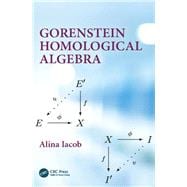 Gorenstein Homological Algebra