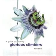 A Guide to Growing Glorious Climbers