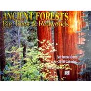 Ancient Forests 2010 Calendar: Big Trees & Redwoods