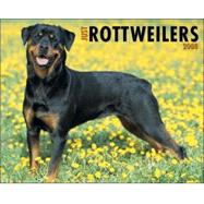 Just Rottweilers 2008 Calendar