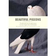 Beautiful Pigeons Journal