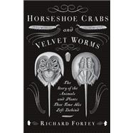 Horseshoe Crabs and Velvet Worms