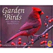 Garden Birds of North America 2003 Calendar