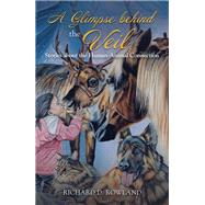 A Glimpse Behind the Veil,9781982255534