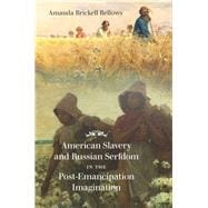 American Slavery and Russian Serfdom in the Post-emancipation Imagination