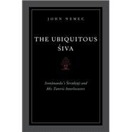 The Ubiquitous Siva