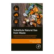 Substitute Natural Gas from Waste