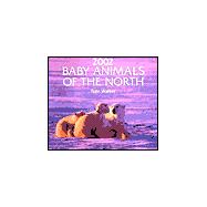 Baby Animals of the North 2002