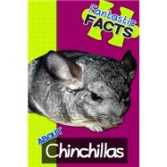 Fantastic Facts About Chinchillas