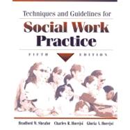 Techniques and Guidelines for Social Work Practice