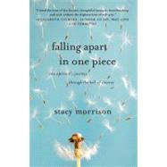 Falling Apart in One Piece : One Optimist's Journey Through the Hell of Divorce