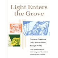 Light Enters the Grove