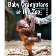 Baby Orangutans at the Zoo