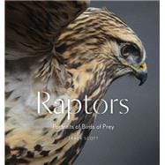 Raptors Portraits of Birds of Prey (Bird Photography Book)