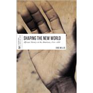Shaping the New World