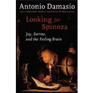 Looking for Spinoza