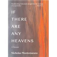 If There Are Any Heavens A Memoir