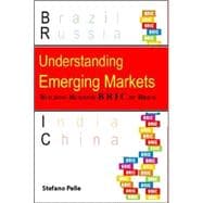 Understanding Emerging Markets : Building Business Bric by Brick